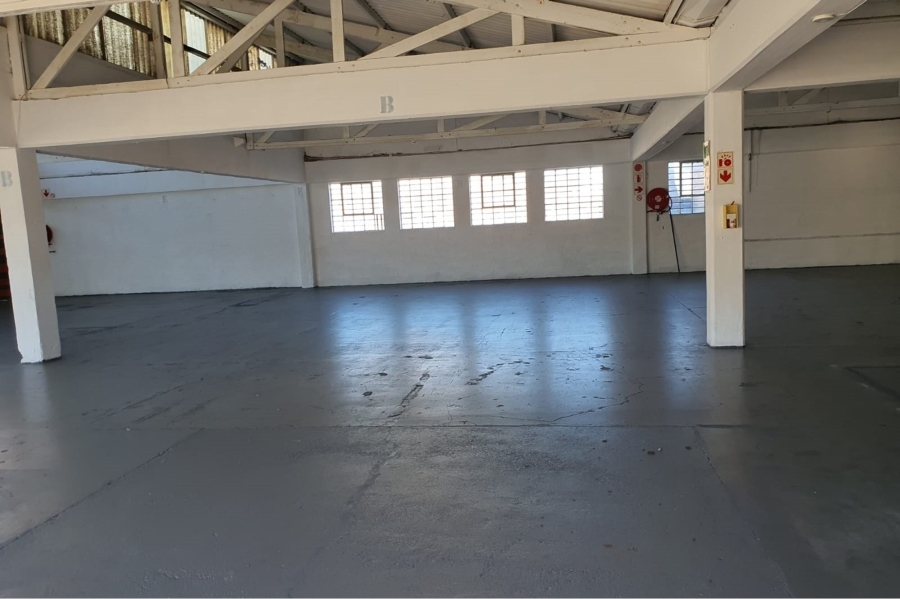 To Let commercial Property for Rent in Deal Party Eastern Cape